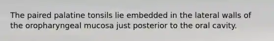 The paired palatine tonsils lie embedded in the lateral walls of the oropharyngeal mucosa just posterior to the oral cavity.