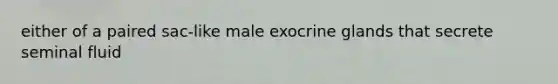 either of a paired sac-like male exocrine glands that secrete seminal fluid