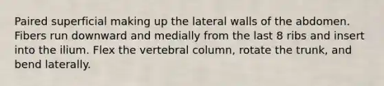 Paired superficial making up the lateral walls of the abdomen. Fibers run downward and medially from the last 8 ribs and insert into the ilium. Flex the vertebral column, rotate the trunk, and bend laterally.