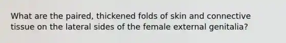 What are the paired, thickened folds of skin and connective tissue on the lateral sides of the female external genitalia?