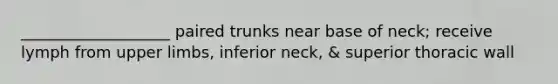 ___________________ paired trunks near base of neck; receive lymph from upper limbs, inferior neck, & superior thoracic wall