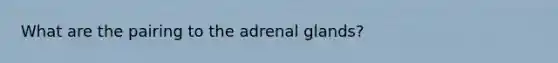 What are the pairing to the adrenal glands?