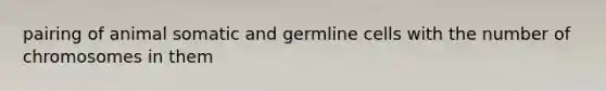 pairing of animal somatic and germline cells with the number of chromosomes in them