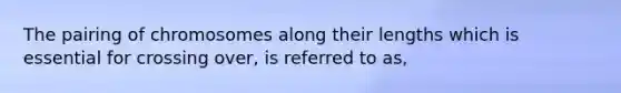 The pairing of chromosomes along their lengths which is essential for crossing over, is referred to as,