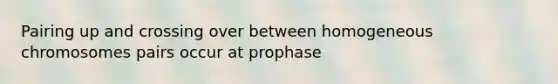 Pairing up and crossing over between homogeneous chromosomes pairs occur at prophase