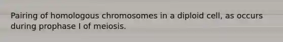 Pairing of homologous chromosomes in a diploid cell, as occurs during prophase I of meiosis.