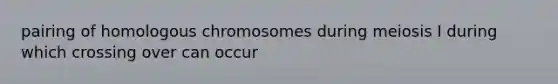 pairing of homologous chromosomes during meiosis I during which crossing over can occur