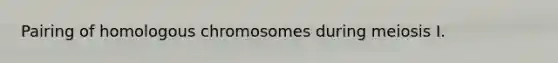 Pairing of homologous chromosomes during meiosis I.