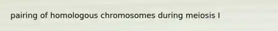 pairing of homologous chromosomes during meiosis I