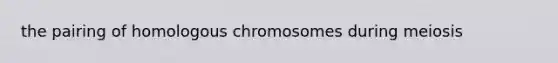 the pairing of homologous chromosomes during meiosis