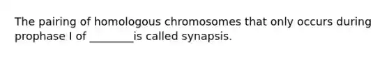 The pairing of homologous chromosomes that only occurs during prophase I of ________is called synapsis.