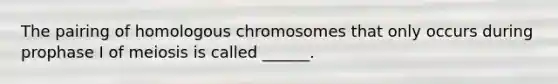 The pairing of homologous chromosomes that only occurs during prophase I of meiosis is called ______.