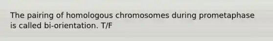 The pairing of homologous chromosomes during prometaphase is called bi-orientation. T/F