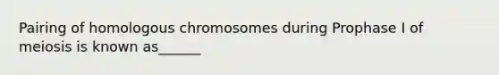 Pairing of homologous chromosomes during Prophase I of meiosis is known as______