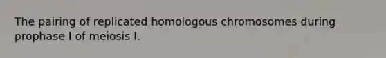 The pairing of replicated homologous chromosomes during prophase I of meiosis I.