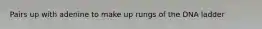 Pairs up with adenine to make up rungs of the DNA ladder