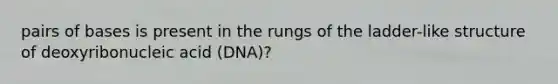 pairs of bases is present in the rungs of the ladder-like structure of deoxyribonucleic acid (DNA)?