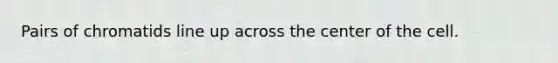 Pairs of chromatids line up across the center of the cell.
