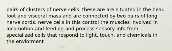 pairs of clusters of nerve cells. these are are situated in the head foot and visceral mass and are connected by two pairs of long nerve cords. nerve cells in this control the muscles involved in locomotion and feeding and process sensory info from specialized cells that respond to light, touch, and chemicals in the enviorment