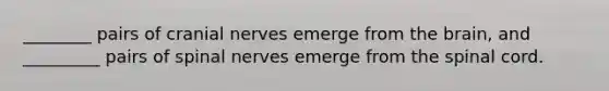 ________ pairs of cranial nerves emerge from the brain, and _________ pairs of spinal nerves emerge from the spinal cord.