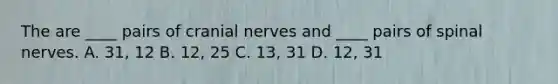 The are ____ pairs of <a href='https://www.questionai.com/knowledge/kE0S4sPl98-cranial-nerves' class='anchor-knowledge'>cranial nerves</a> and ____ pairs of spinal nerves. A. 31, 12 B. 12, 25 C. 13, 31 D. 12, 31