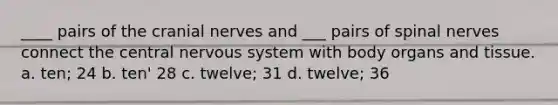 ____ pairs of the cranial nerves and ___ pairs of spinal nerves connect the central nervous system with body organs and tissue. a. ten; 24 b. ten' 28 c. twelve; 31 d. twelve; 36