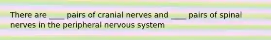 There are ____ pairs of cranial nerves and ____ pairs of spinal nerves in the peripheral nervous system