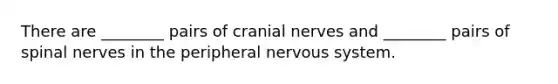 There are ________ pairs of cranial nerves and ________ pairs of spinal nerves in the peripheral nervous system.