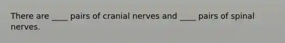 There are ____ pairs of cranial nerves and ____ pairs of spinal nerves.