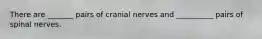 There are _______ pairs of cranial nerves and __________ pairs of spinal nerves.