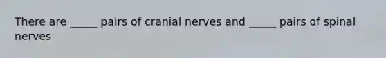 There are _____ pairs of cranial nerves and _____ pairs of spinal nerves