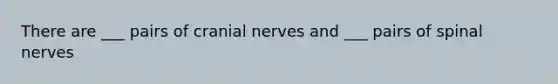 There are ___ pairs of cranial nerves and ___ pairs of spinal nerves