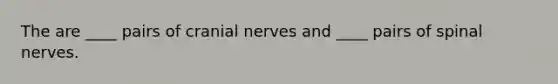 The are ____ pairs of cranial nerves and ____ pairs of spinal nerves.