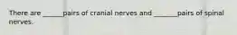 There are ______pairs of cranial nerves and _______pairs of spinal nerves.