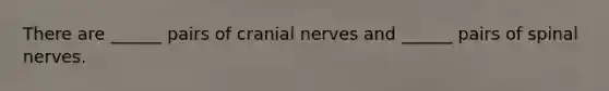 There are ______ pairs of cranial nerves and ______ pairs of spinal nerves.