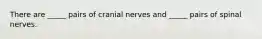 There are _____ pairs of cranial nerves and _____ pairs of spinal nerves.