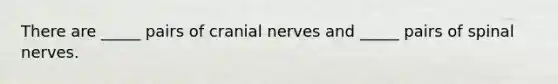 There are _____ pairs of cranial nerves and _____ pairs of spinal nerves.