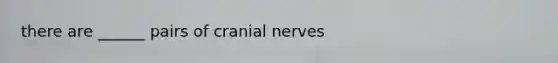 there are ______ pairs of cranial nerves