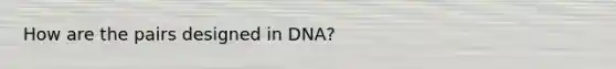 How are the pairs designed in DNA?