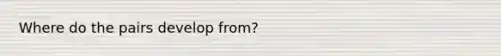 Where do the pairs develop from?