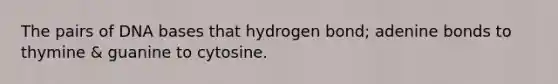 The pairs of DNA bases that hydrogen bond; adenine bonds to thymine & guanine to cytosine.