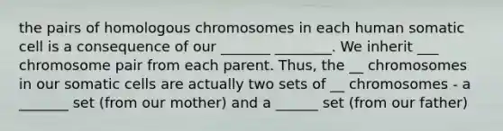 the pairs of homologous chromosomes in each human somatic cell is a consequence of our _______ ________. We inherit ___ chromosome pair from each parent. Thus, the __ chromosomes in our somatic cells are actually two sets of __ chromosomes - a _______ set (from our mother) and a ______ set (from our father)