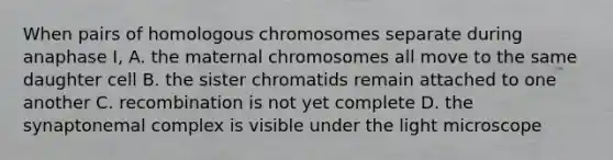 When pairs of homologous chromosomes separate during anaphase I, A. the maternal chromosomes all move to the same daughter cell B. the sister chromatids remain attached to one another C. recombination is not yet complete D. the synaptonemal complex is visible under the light microscope