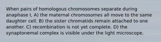 When pairs of homologous chromosomes separate during anaphase I, A) the maternal chromosomes all move to the same daughter cell. B) the sister chromatids remain attached to one another. C) recombination is not yet complete. D) the synaptonemal complex is visible under the light microscope.