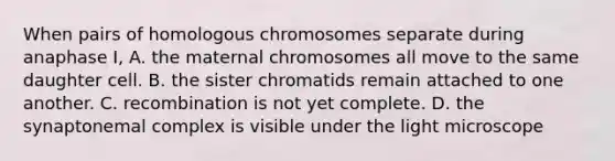 When pairs of homologous chromosomes separate during anaphase I, A. the maternal chromosomes all move to the same daughter cell. B. the sister chromatids remain attached to one another. C. recombination is not yet complete. D. the synaptonemal complex is visible under the light microscope