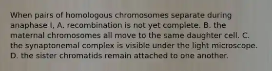 When pairs of homologous chromosomes separate during anaphase I, A. recombination is not yet complete. B. the maternal chromosomes all move to the same daughter cell. C. the synaptonemal complex is visible under the light microscope. D. the sister chromatids remain attached to one another.