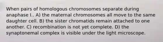 When pairs of homologous chromosomes separate during anaphase I.. A) the maternal chromosomes all move to the same daughter cell. B) the sister chromatids remain attached to one another. C) recombination is not yet complete. D) the synaptonemal complex is visible under the light microscope.