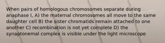 When pairs of homologous chromosomes separate during anaphase I, A) the maternal chromosomes all move to the same daughter cell B) the sister chromatids remain attached to one another C) recombination is not yet complete D) the synaptonemal complex is visible under the light microscope