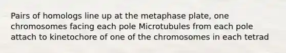 Pairs of homologs line up at the metaphase plate, one chromosomes facing each pole Microtubules from each pole attach to kinetochore of one of the chromosomes in each tetrad