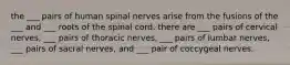 the ___ pairs of human spinal nerves arise from the fusions of the ___ and ___ roots of the spinal cord. there are ___ pairs of cervical nerves, ___ pairs of thoracic nerves, ___ pairs of lumbar nerves, ___ pairs of sacral nerves, and ___ pair of coccygeal nerves.